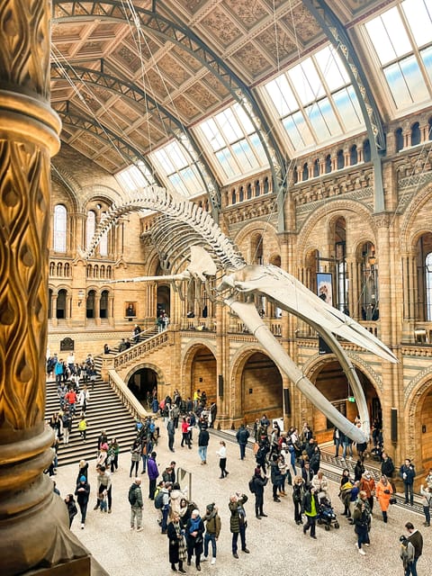 London: Natural History Museum Guided Tour - Earth’s first chapters: fossils, Sophie, and the “big picture” start