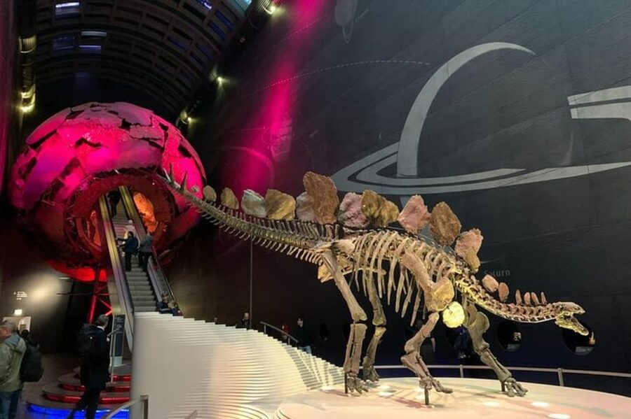 London: Natural History Museum Private Tour & Skip the line - Key moments worth planning for