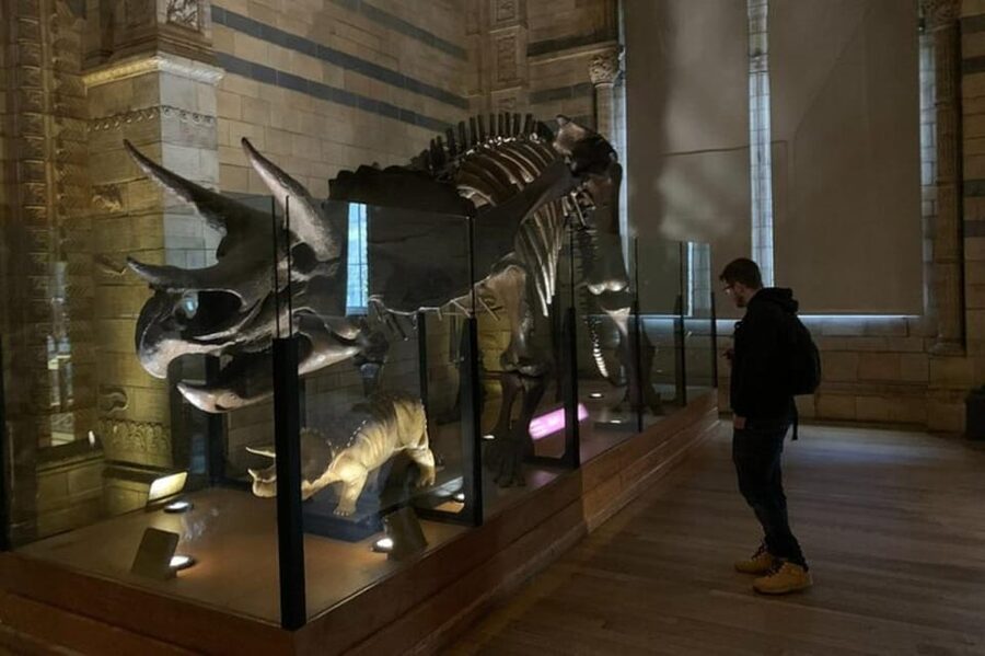 London: Natural History Museum Private Tour & Skip the line - Why the Natural History Museum fits a private tour