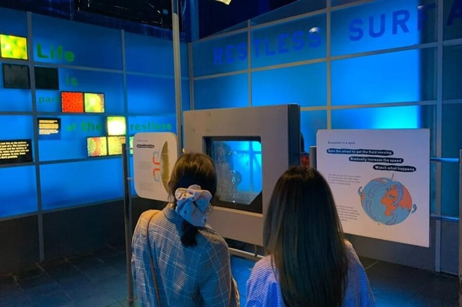 London: Natural History Museum Private Tour & Skip the line - Your 2-hour highlights: dinosaurs, fossils, and big-skeleton viewing