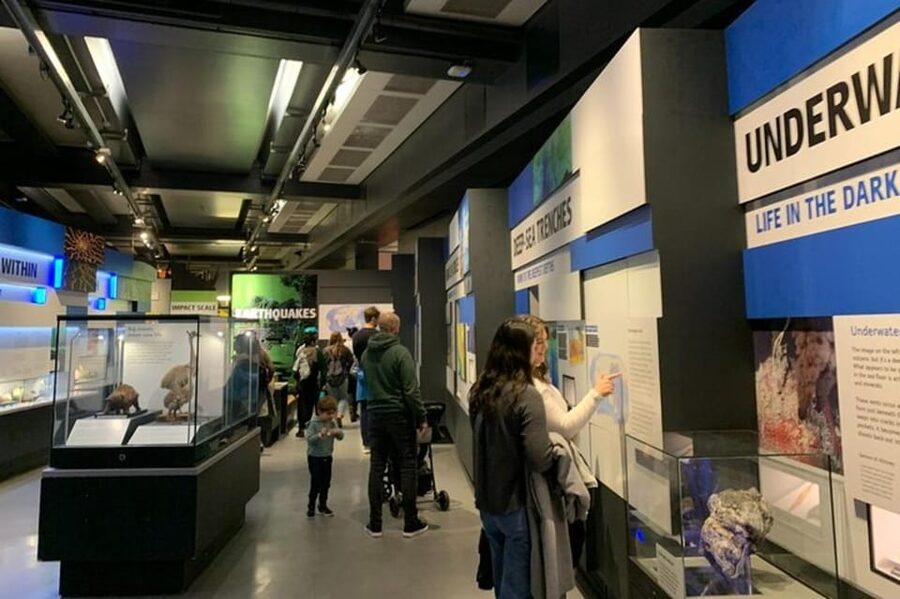 London: Natural History Museum Private Tour & Skip the line - Guides that match the pace for families and curious adults
