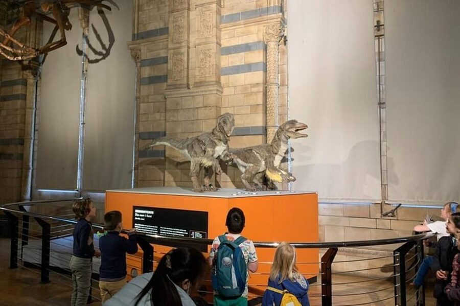 London: Natural History Museum Private Tour & Skip the line - Should you book this skip-the-line private tour?