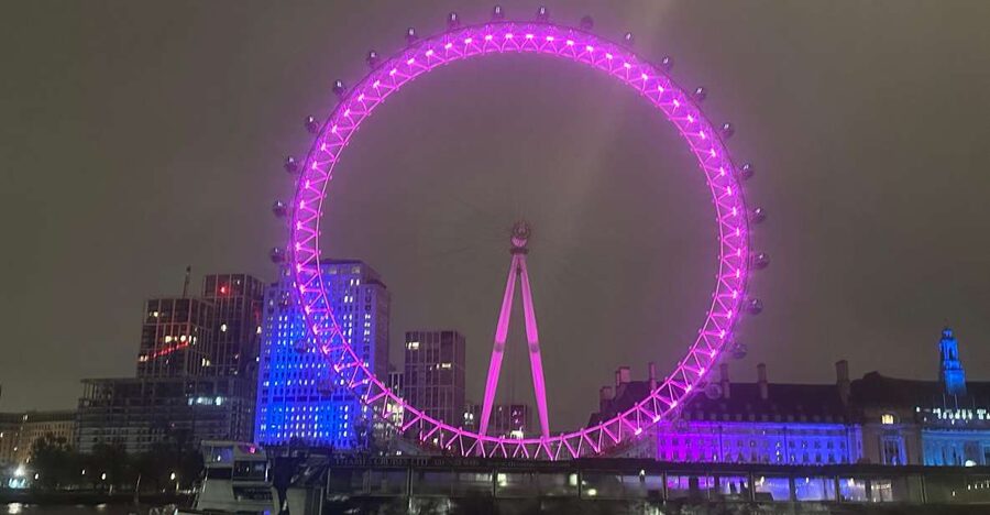 London: Private Black Cab Night Tour with Hotel Pick Up - Pickup, ride comfort, and what the cab experience is really like