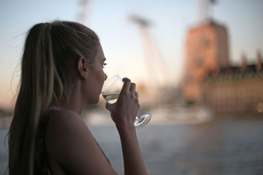 London: River Thames Evening Cruise with Bubbly and Canapés - Should you book this London Thames bubbly and canapés cruise?