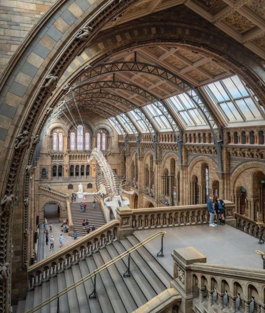 London: Royal Kensington Guided Walking Tour - Royal Albert Hall and Albert Memorial, iconic London with context