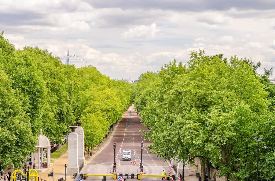 London Royal Tour - Buckingham Palace Entry - 12 guests 2,5h - Practical Tips So Your Day Feels Smooth