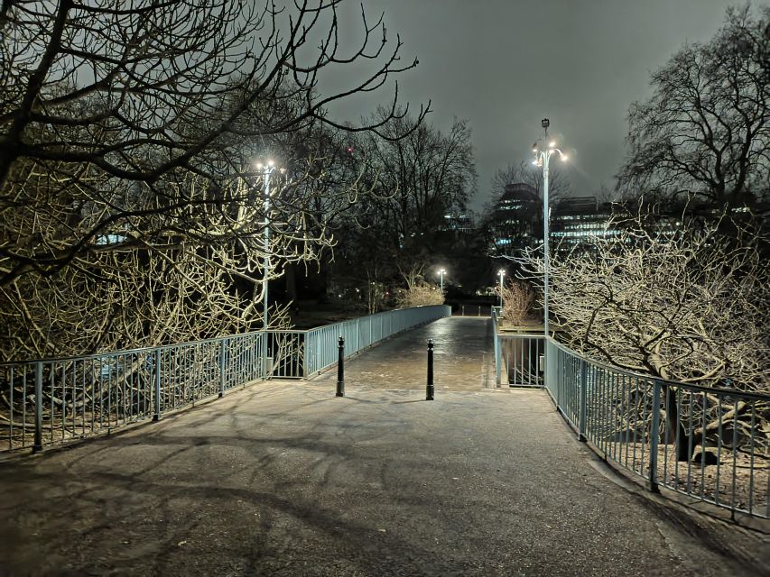 London : Royal Westminster By Night Walking Tour - Practical tips for better photos, easier walking, and less stress