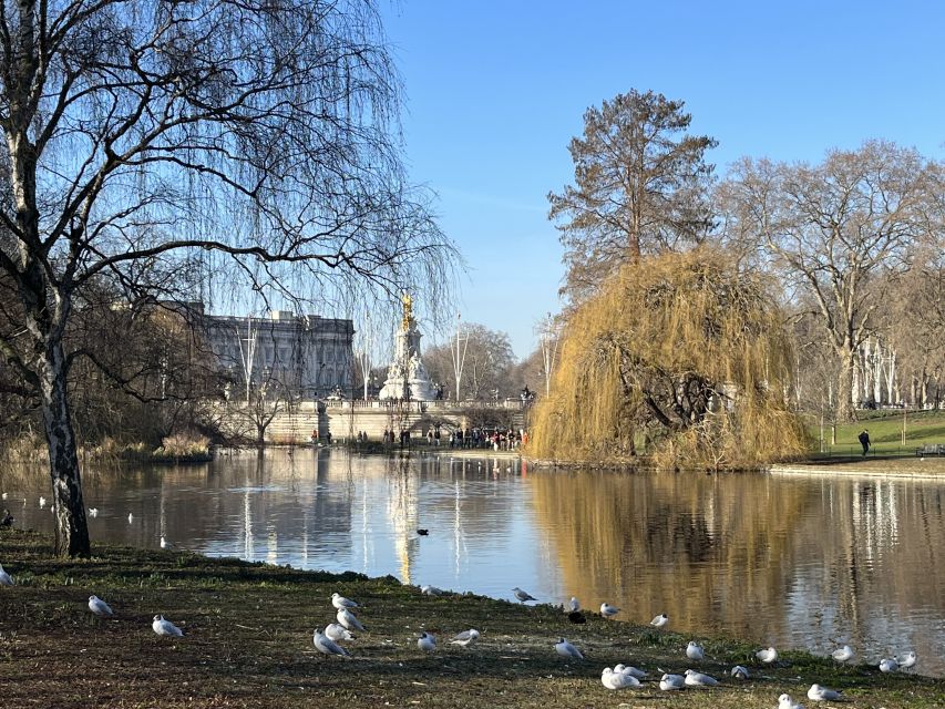 London’s Royal Family and Changing of the Guard Tour - St James’s Park reset: swans and pelicans between the loud moments
