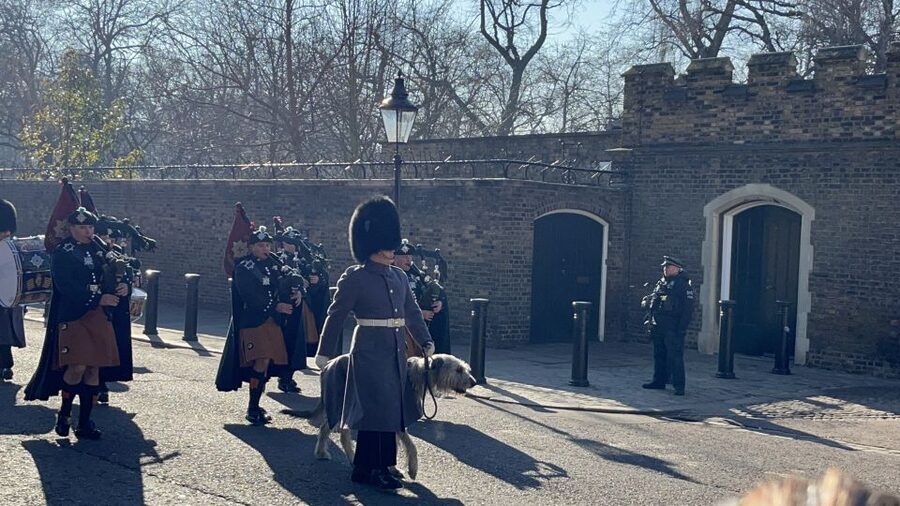 London’s Royal Family and Changing of the Guard Tour - St James’s Palace and the royal apartments you can still imagine