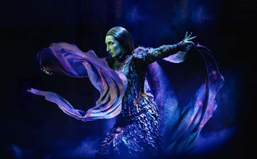 London's West End: Ticket to Wicked the Musical - Your Ticket, E-Ticket Email, and What to Bring