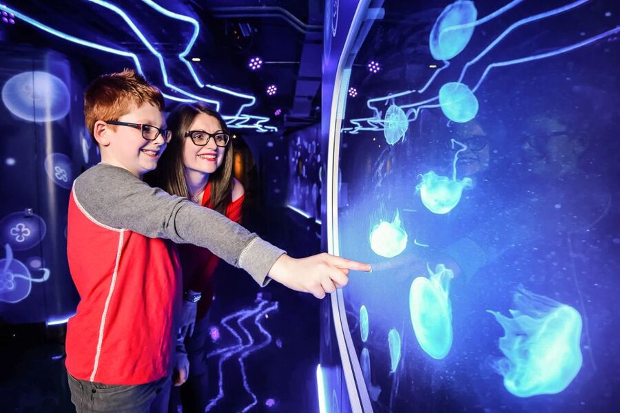 London: SEA LIFE Entry Ticket - Is it worth $37? Value check for different travelers