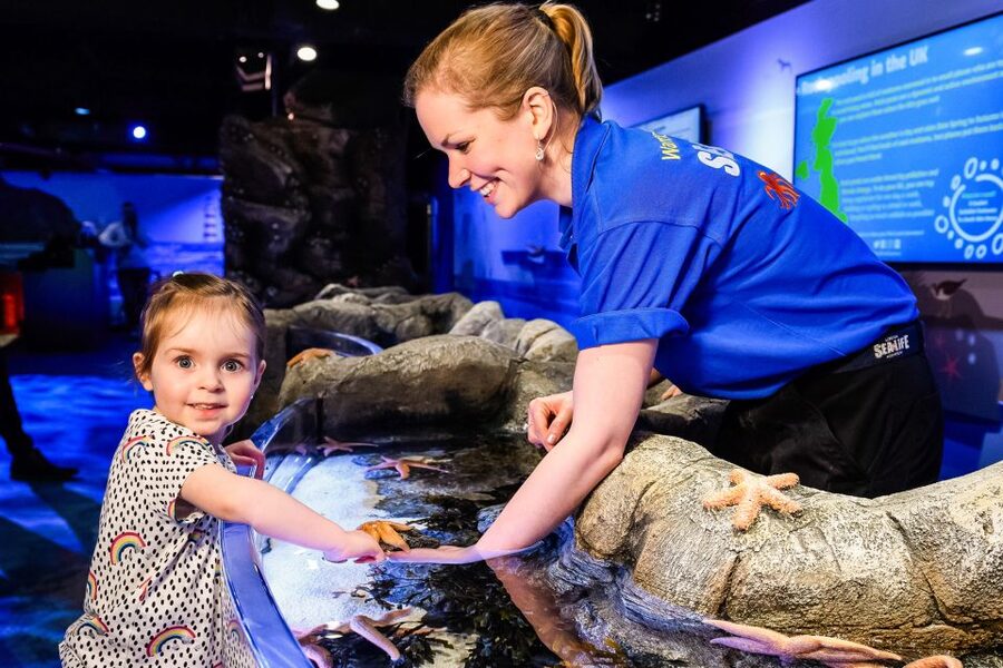 London: SEA LIFE Entry Ticket - The tropical ocean walkthrough: where the visit starts strong