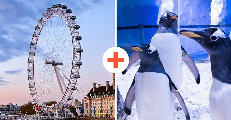 London: SEA LIFE & London Eye Combo Ticket - The Easiest Order: SEA LIFE First, Then The Eye (And When You Should Switch)