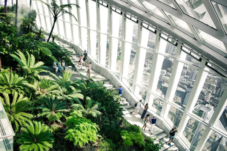 London: Sky Garden Early Access with Pastry and Hot Drink - Early access timing and the morning view from the Walkie Talkie