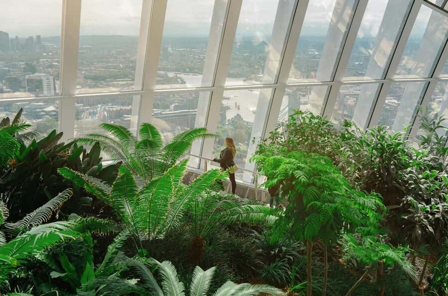 London: Sky Garden Early Access with Pastry and Hot Drink - Who this Sky Garden morning slot suits best