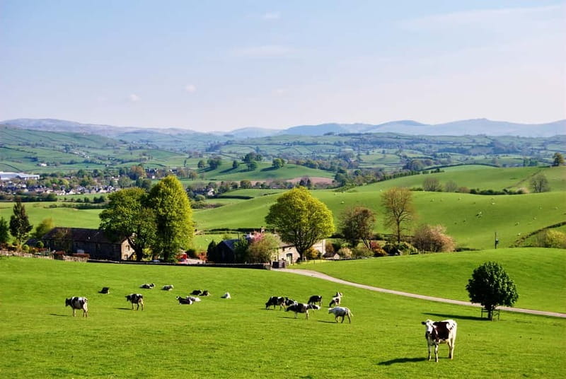 London: Small Group Canterbury, Dover & Kent Villages Tour - The pace: how an 11-hour day stays manageable