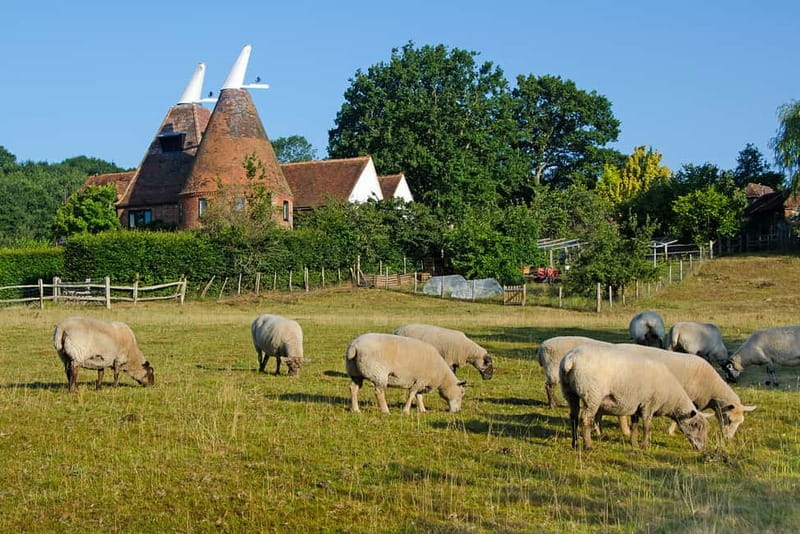 London: Small Group Canterbury, Dover & Kent Villages Tour - Transportation and group size: why the day feels smoother