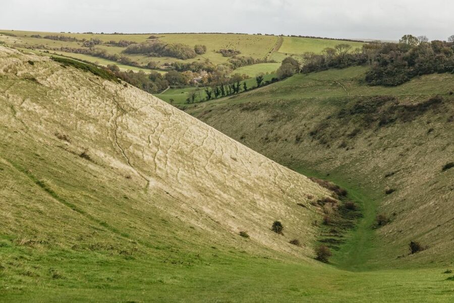 London: South Downs White Cliffs Day Trip with Train Tickets - Key highlights worth your attention