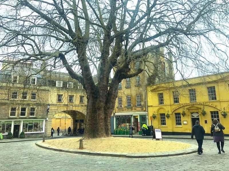 London: Stonehenge, Bath, Windsor, and Roman Baths Day Tour - The coach ride experience: comfort, timing, and what to bring
