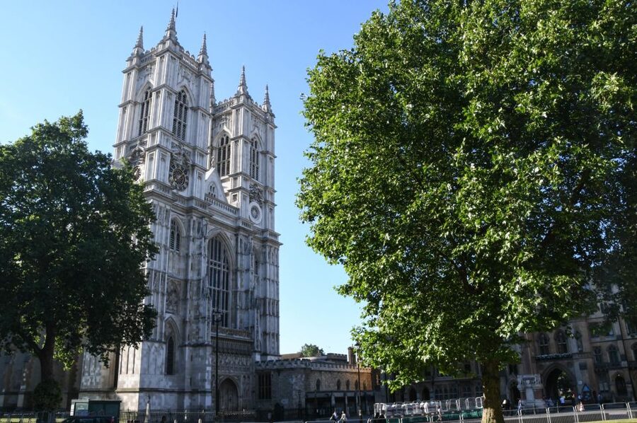 London: Top 30 Sights Walking Tour and London Dungeon Entry - Price and Value for a 7-Hour Top-Sights Day
