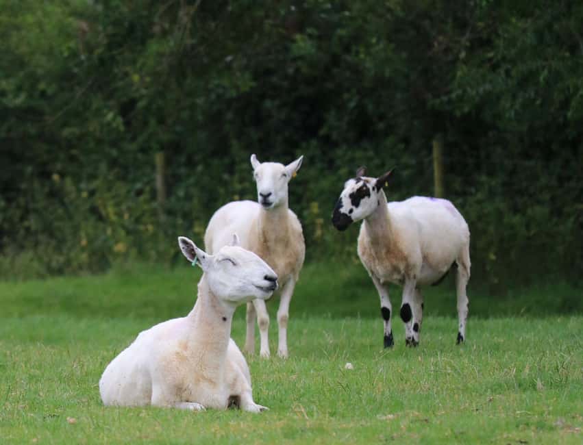 London: Top 7 Cotswolds Stops plus Shakespeare's Stratford - Bibury and Arlington Row: where the postcards are born
