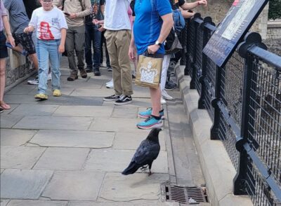 Tower of London Guided Tour with Boat Ride