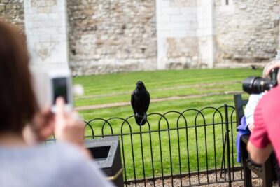 Tower of London Tour with Crown Jewels & Beefeaters
