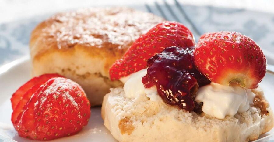 London Vintage Bus Tour and Cream Tea at Harrods - Practical tips so your afternoon goes smoothly