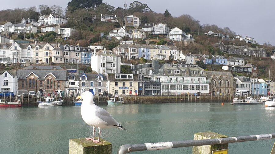 Looe: Beyond Paradise TV Locations Tour - East Looe River: First-Series Sights, Seagulls, and Boats