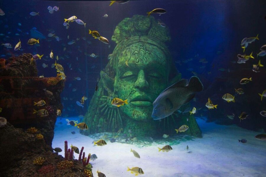 Manchester: SEA LIFE Entrance Ticket - How Long to Plan, and How to Pace Your Visit