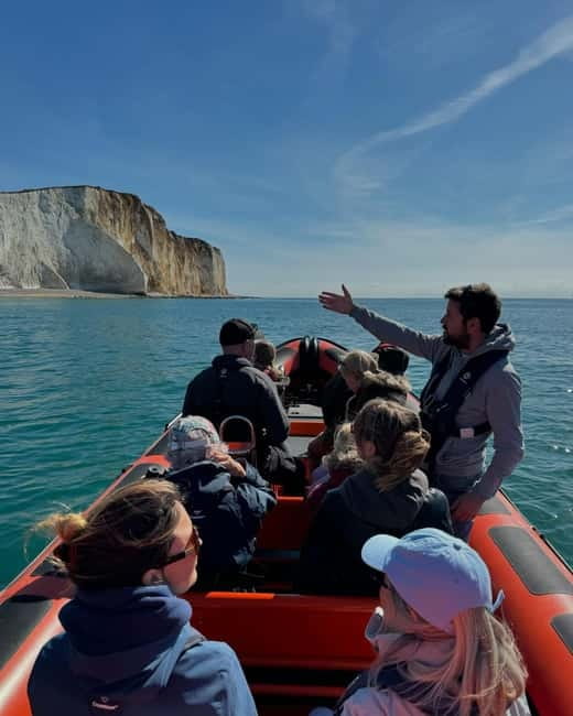 Newhaven: Beachy Head Lighthouse Boat Tour - Wildlife spotting in summer: harbour porpoise and seals, with real odds