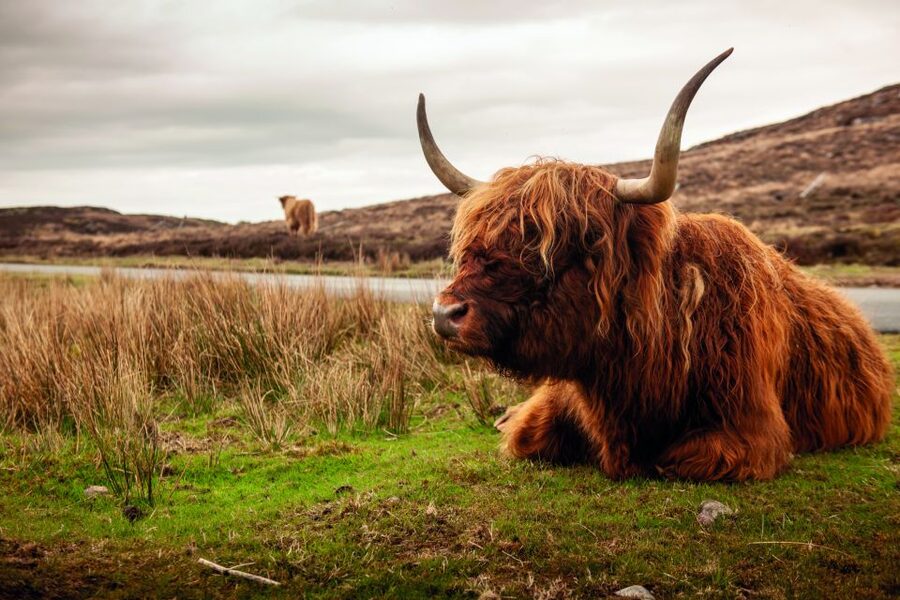 North Coast 500: 3-Day Small-Group Tour from Inverness - Price and value: what $496 buys, and what you should budget extra