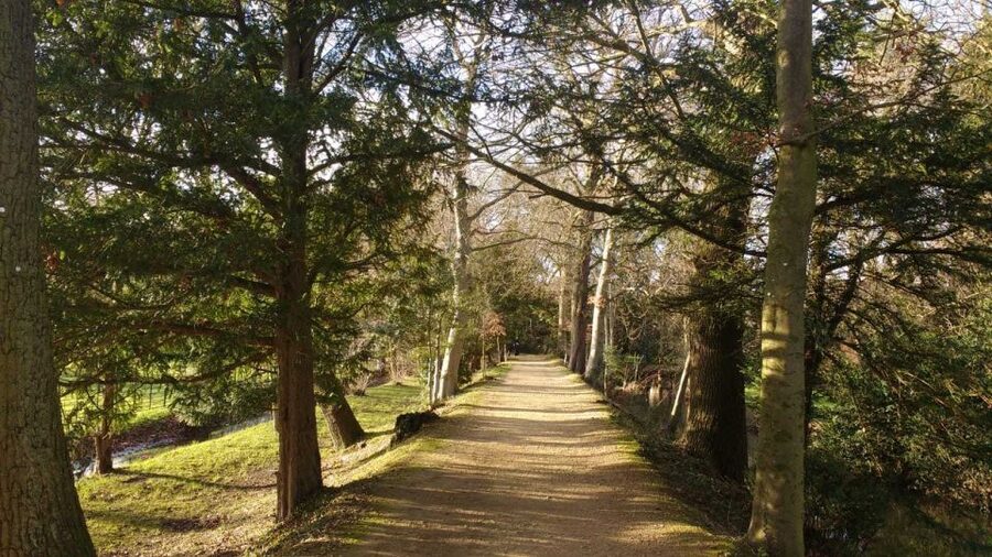 Oxford: C.S. Lewis & J.R.R. Tolkien Guided Walking Tour - Getting There: Start at Broad Street, Then Let the Guide Lead