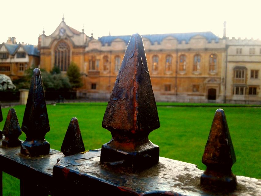 Oxford: Harry Potter Insights Divinity School Group Tour - Key Highlights You’ll Really Feel