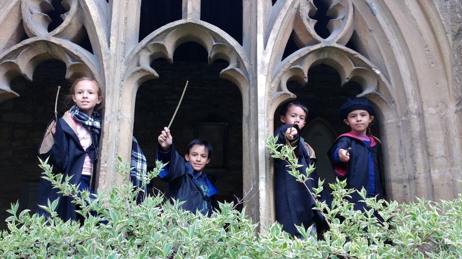 Oxford: Harry Potter Insights Divinity School Group Tour - Who Should Book This Oxford Harry Potter Tour