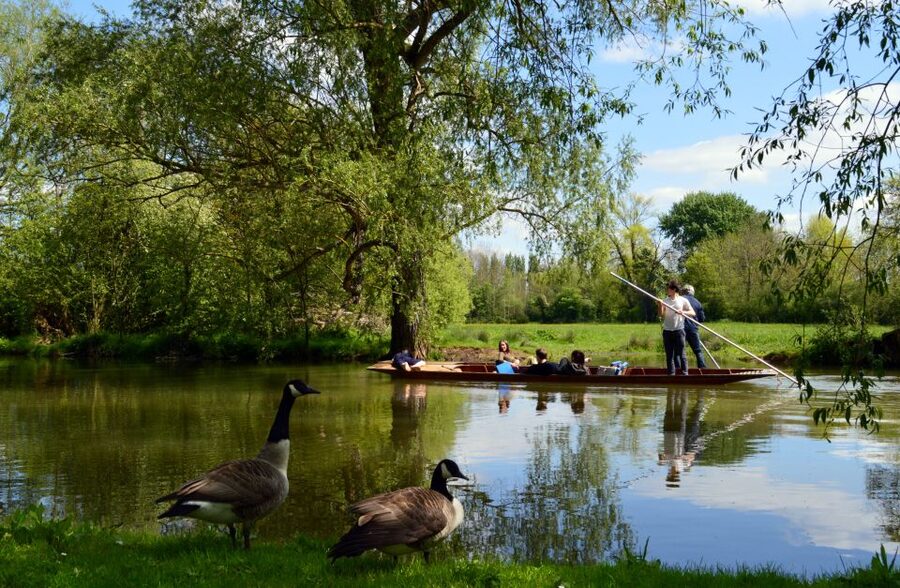 Oxford: Official University and City Walking Tour - Price and value for a 2-hour guided Oxford hit