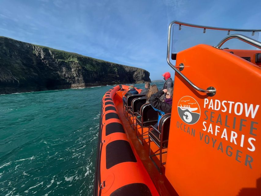 Padstow: Guided RIB Sealife Safari - Binoculars, shoes, and camera tips that help in real life
