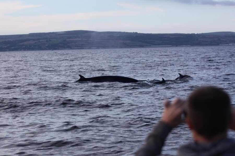 Penzance: Land's End Boat Tour with Wildlife Guides - Land’s End and Longship Lighthouse, the south-westerly payoff
