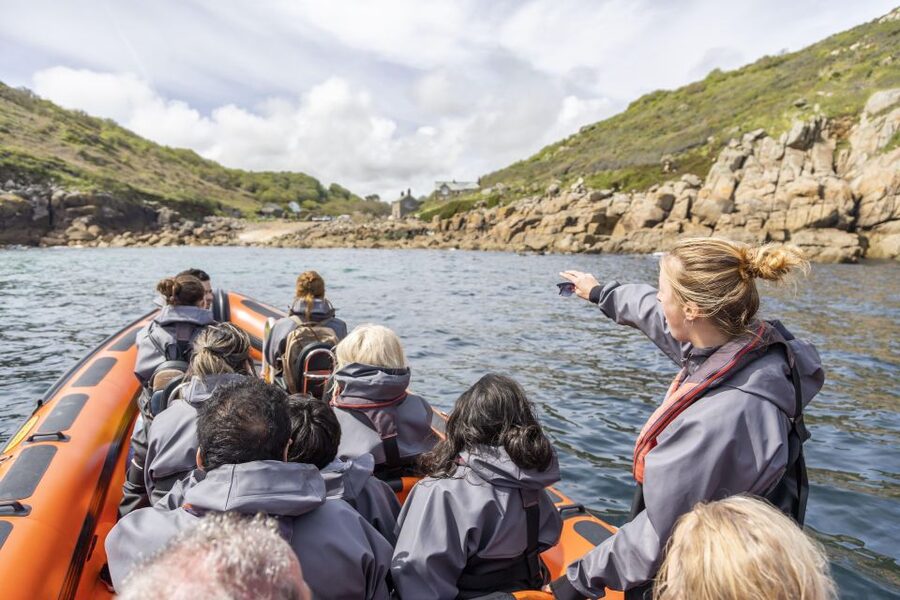 Penzance: Land's End Boat Tour with Wildlife Guides - How the wildlife guides turn the ride into learning