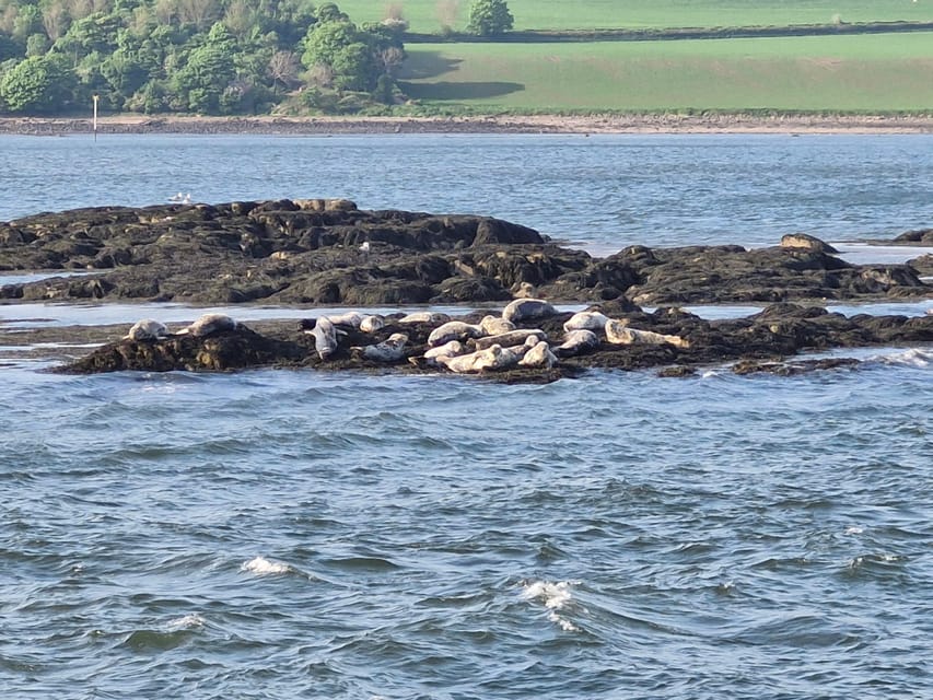 Queensferry: Sightseeing Cruise to Inchcolm Island - The Inchcolm landing fee and what it changes for your plan