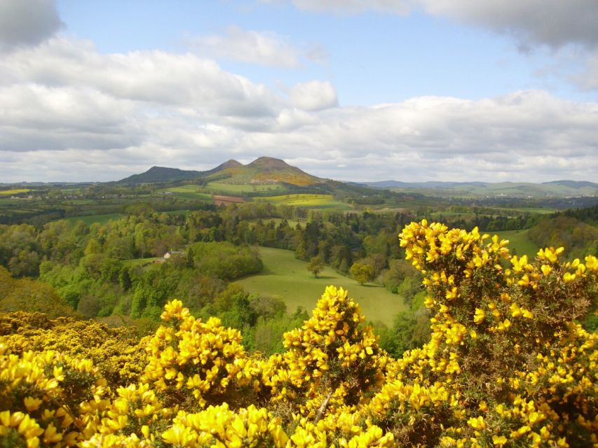 Rosslyn Chapel & Scottish Borders Tour from Edinburgh - Should you book this Rosslyn Chapel and Scottish Borders day trip?