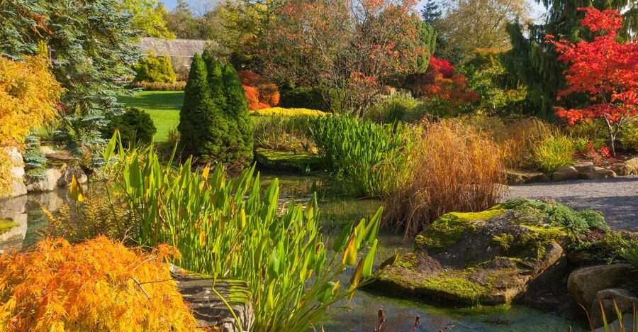 Royal Horticultural Society: Harlow Carr Garden Ticket - Key things to know before you go