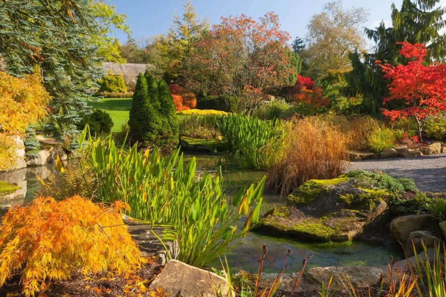 Royal Horticultural Society: Harlow Carr Garden Ticket - Wheelchair access and practical comfort