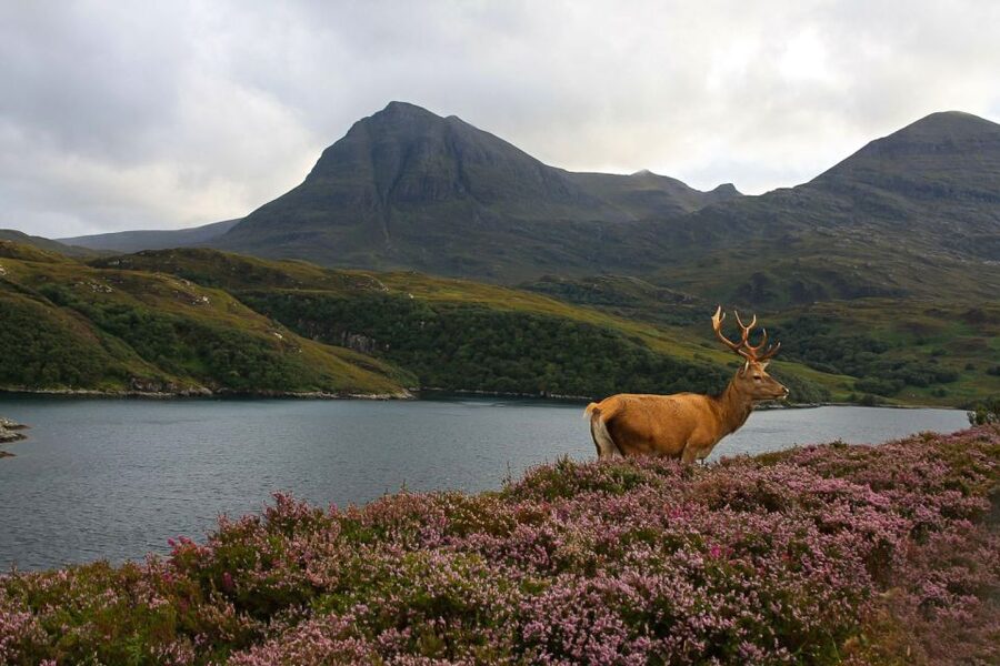 Scotland: Orkney and Northern Coast 5-Day Tour - Quick hits before you go