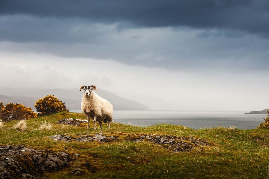 Scotland: West Highlands, Mull and Iona 4-Day Tour - Why this route makes sense for a 4-day Scotland trip