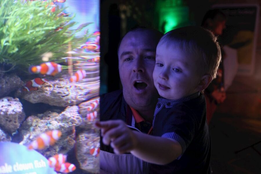 SEA LIFE Blackpool Entrance Ticket - Key highlights worth planning for