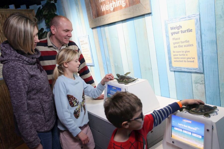 SEA LIFE Blackpool Entrance Ticket - The Underwater Tunnel, Where Sharks Swim Overhead