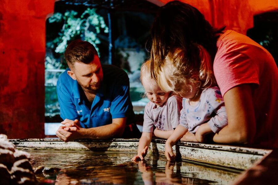 Sea Life Brighton Admission Ticket - Getting there and choosing the right time to arrive