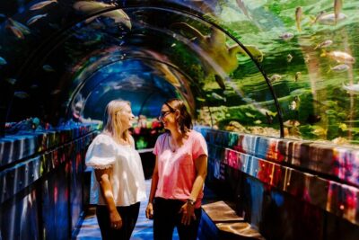 Sea Life Brighton Admission Ticket