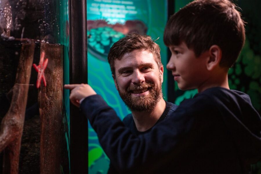 SEA LIFE London & DreamWorks Shrek's Adventure: Combo Ticket - Key things to know before you go